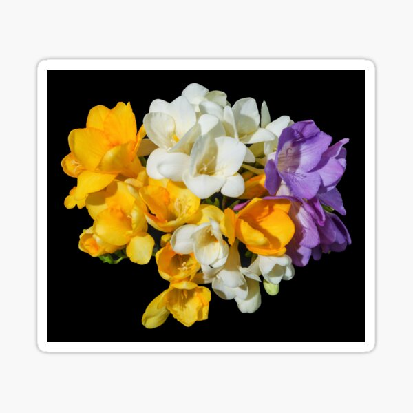 Freesia Bouquet, 1 Sticker