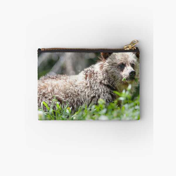 Artikelvorschau, Grizzlybärjunges entworfen und verkauft von Jim Stiles.