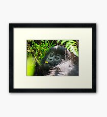 Playful Framed Print