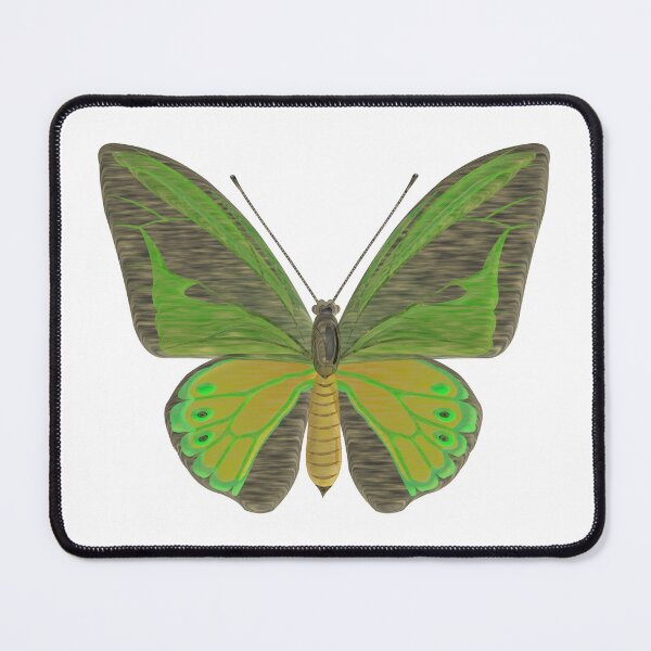 Item preview, Birdwing Tropical butterfly designed and sold by Elonium.