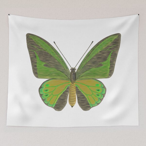 Item preview, Birdwing Tropical butterfly designed and sold by Elonium.