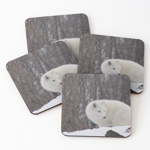 Item preview, Inquisitive Arctic Fox designed and sold by caybeach.