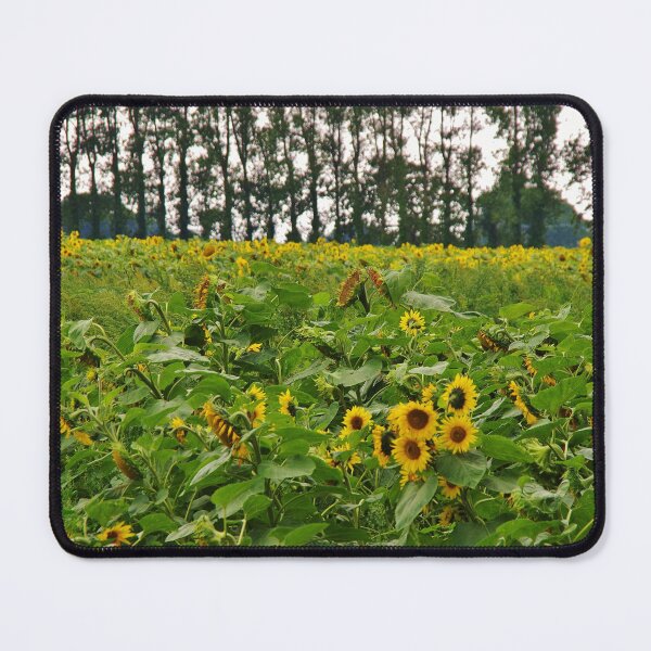 Item preview, A Field Of Sunshine designed and sold by lezvee.