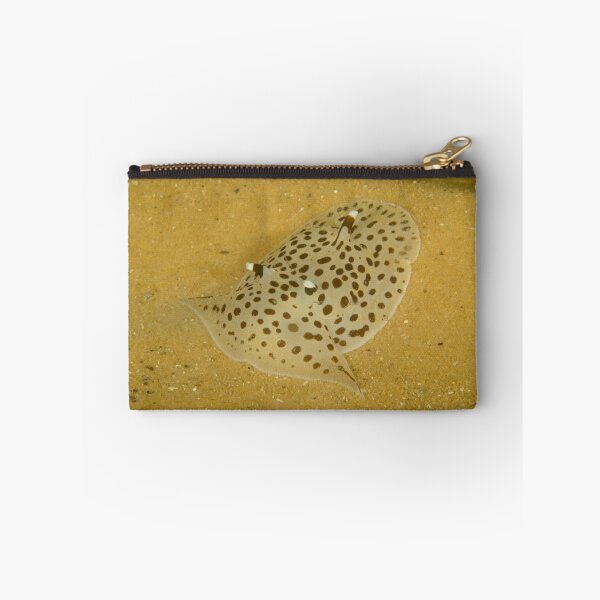 Item preview, Pleurobranch - Euselenops luniceps designed and sold by Andrew Trevor-Jones.