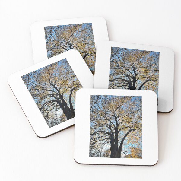 Item preview, Trees designed and sold by Matthew Carroll.