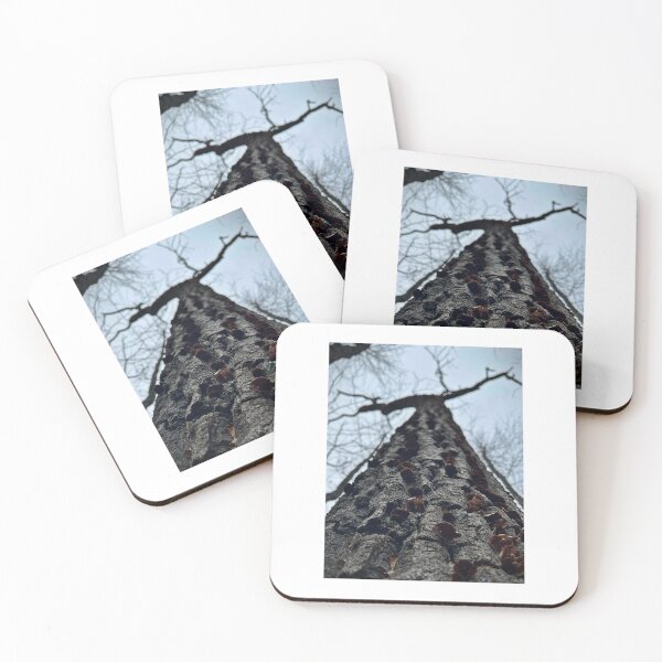 Item preview, Trees designed and sold by Matthew Carroll.