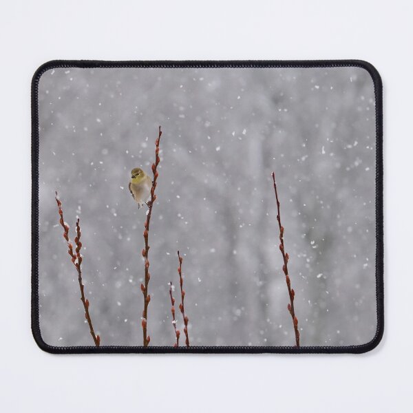 Item preview, Winter Goldfinch on Willow designed and sold by InGFocus.