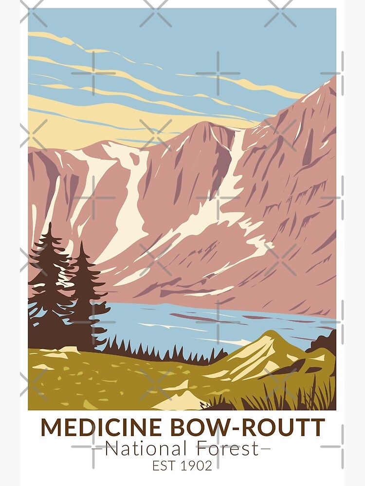 "Medicine Bow Routt National Forest Vintage" Poster for Sale by