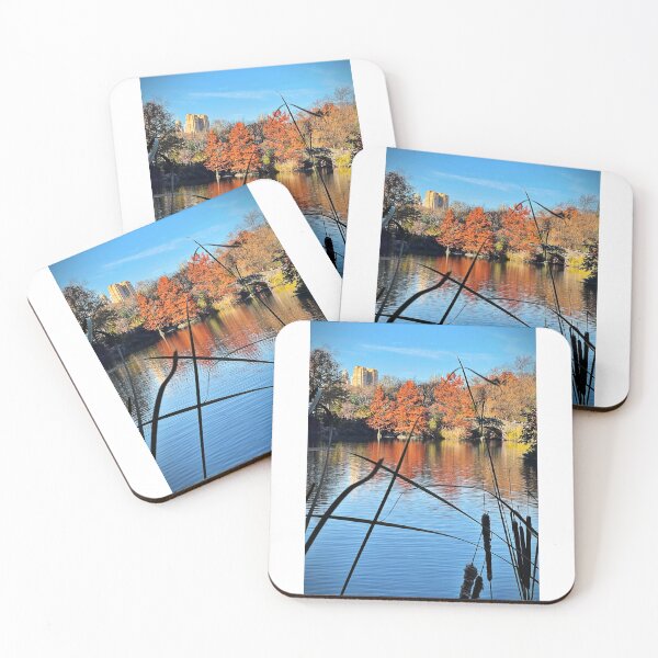 Item preview, Central Park designed and sold by Matthew Carroll.