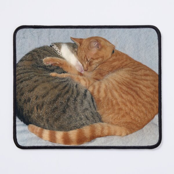 Item preview, Ball of Cuteness designed and sold by Frankie Cat Photography.
