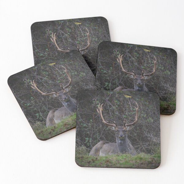 Item preview, The Boy designed and sold by ClaireChown.