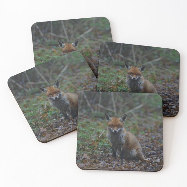 Item preview, Young Fox Encounter designed and sold by ClaireChown.