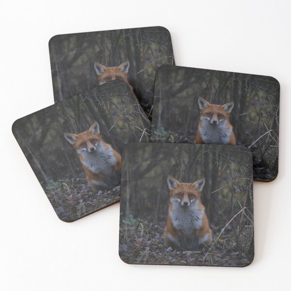 Item preview, Winter Afternoon Fox Encounter designed and sold by ClaireChown.