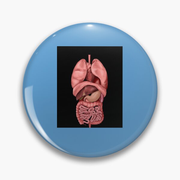 Item preview, Internal Organs Graphic T-Shirt designed and sold by JulianHeritsc.