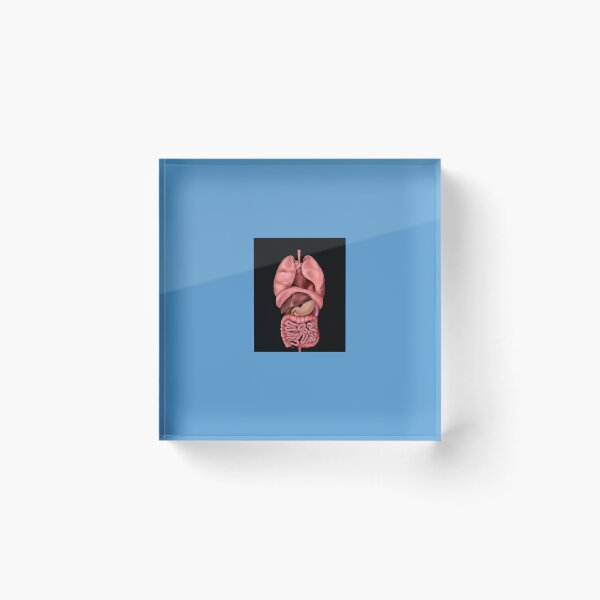 Item preview, Internal Organs Graphic T-Shirt designed and sold by JulianHeritsc.