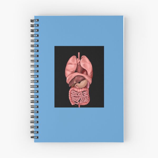 Item preview, Internal Organs Graphic T-Shirt designed and sold by JulianHeritsc.