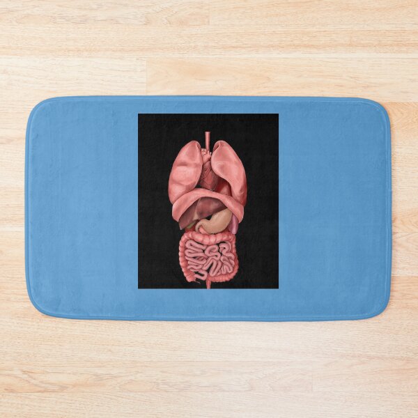 Item preview, Internal Organs Graphic T-Shirt designed and sold by JulianHeritsc.