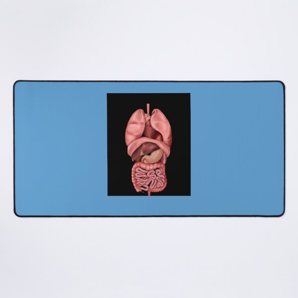 Item preview, Internal Organs Graphic T-Shirt designed and sold by JulianHeritsc.