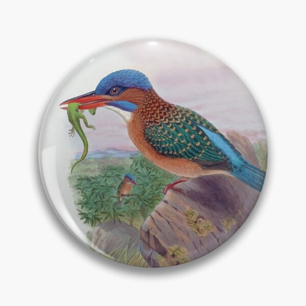 Artikelvorschau, Blaukopf-Eisvogel von John Gould entworfen und verkauft von TheCurators.