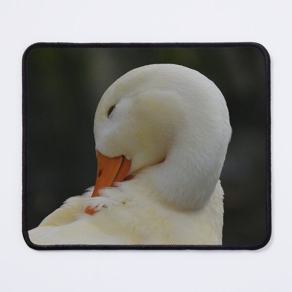 Item preview, American Peking Duck Taking a Rest designed and sold by ClaireChown.