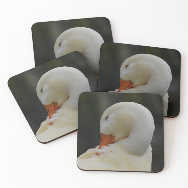 Artikelvorschau, Amerikanische Peking-Ente, die sich ausruht entworfen und verkauft von ClaireChown.