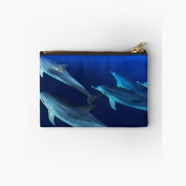 Item preview, Pod of wild Atlantic spotted dolphins Stenella frontalis designed and sold by Chloé Yzoard.