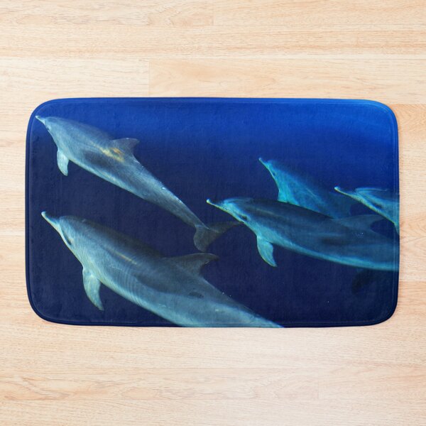 Item preview, Pod of wild Atlantic spotted dolphins Stenella frontalis designed and sold by Chloé Yzoard.