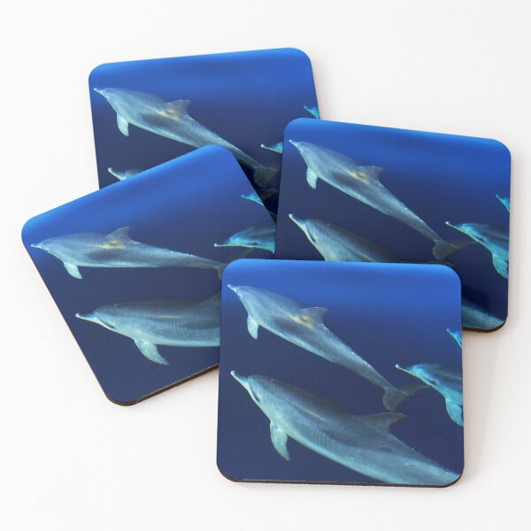 Item preview, Pod of wild Atlantic spotted dolphins Stenella frontalis designed and sold by Chloé Yzoard.