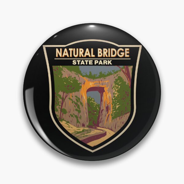 NY State Parks Lapel Pin — Shop New York State Parks