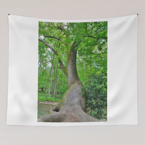 Item preview, The Wonders Of Nature designed and sold by LisaWootenPhoto.
