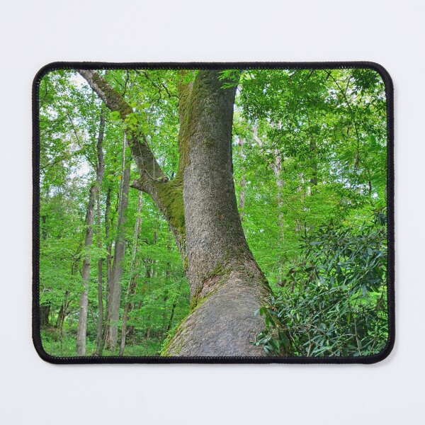 Item preview, The Wonders Of Nature designed and sold by LisaWootenPhoto.