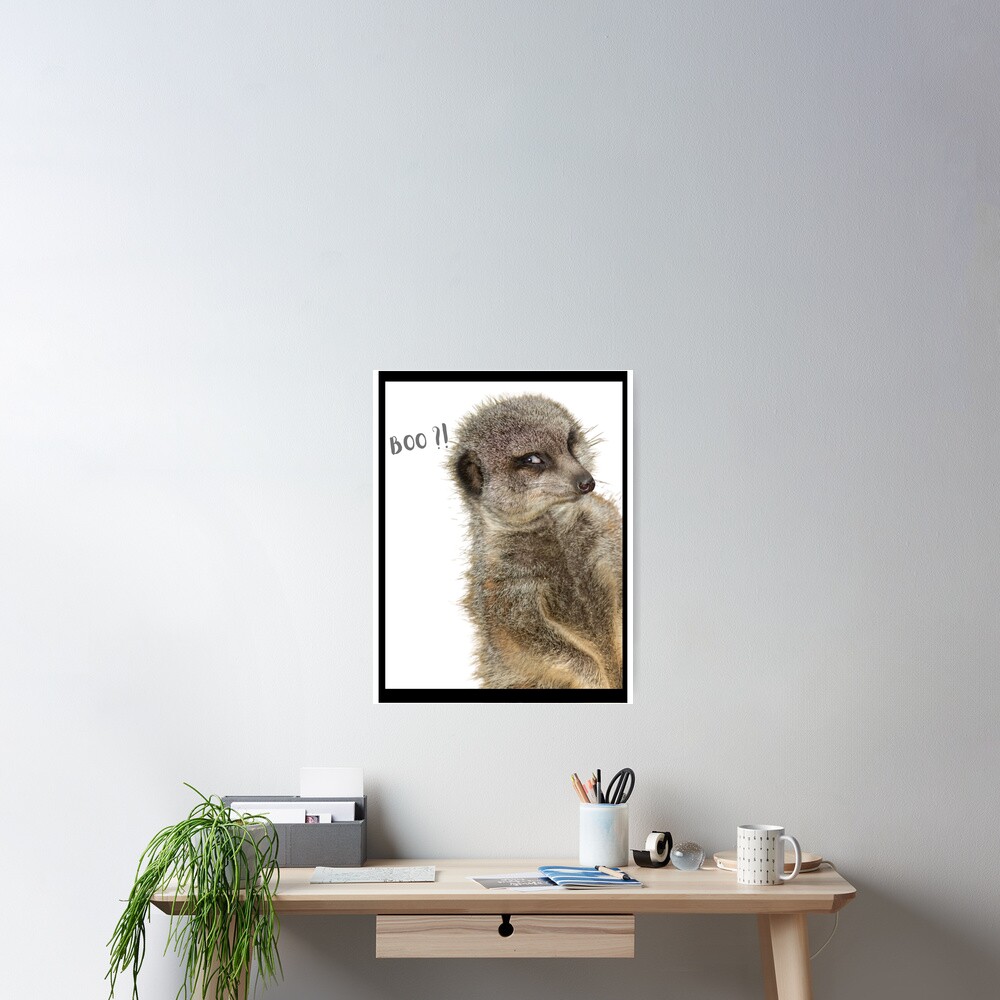 "Lustige FotobombenDrucke Erdmännchen Boo! Fantastische Neuheit Meme