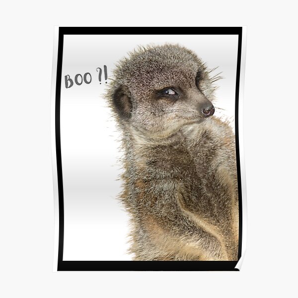 "Lustige FotobombenDrucke Erdmännchen Boo! Fantastische Neuheit Meme