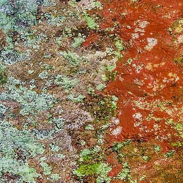 Artwork thumbnail, Colorful Abstract Texture by DFLC Prints