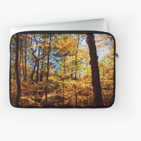 The Forest in Fall Laptop Sleeve