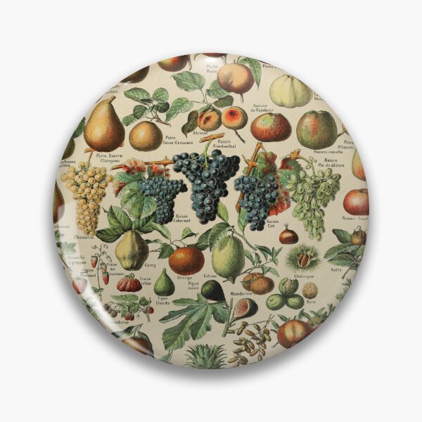 Item preview, Adolphe Millot Fruits - Vintage Fruits Pour Tous designed and sold by molamode.