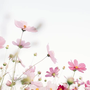 Artwork thumbnail, flower pattern by MotiveStuff