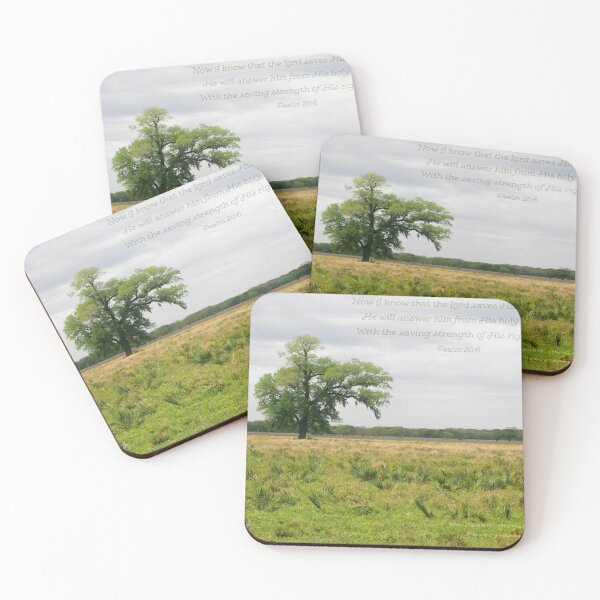 Item preview, Jesus Saves designed and sold by Texas Enfocus Photography.