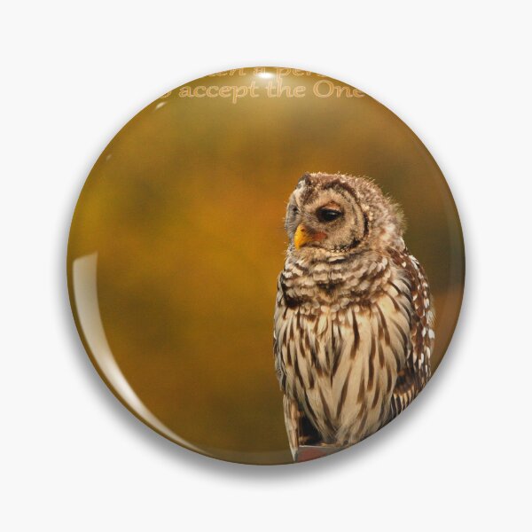 Item preview, Accepting Jesus designed and sold by Texas Enfocus Photography.