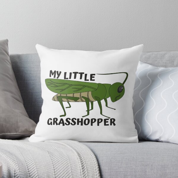 Insect Entomologist Flying Bugs Gift Biology Beetle Entomologist Insect Collector Biologist Bug Throw Pillow 18x18 Multicolor Insect Entomologist Flying Bugs Gift Biology Beetle Entomologist Insect Collector Biologist Bug Throw Pillow 18x18 Multicolor