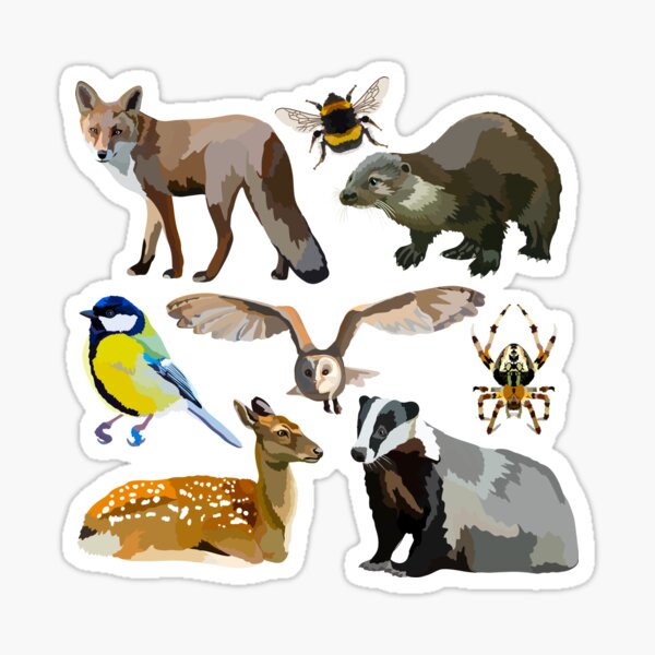 Item preview, B is for British Wildlife  designed and sold by thezoogirl.