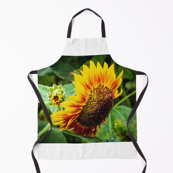 Artikelvorschau, Sonnenblume Gelb-Orange entworfen und verkauft von barkeypf.