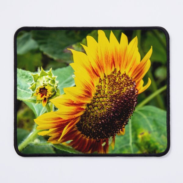 Item preview, Sunflower Yellow Orange designed and sold by barkeypf.