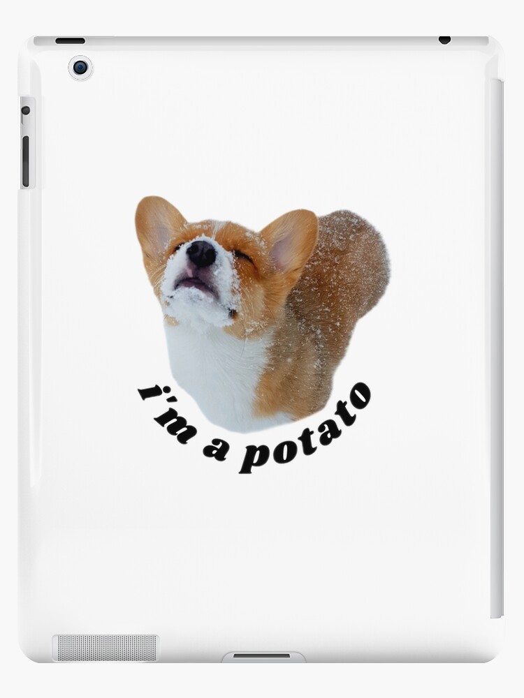 corgi-potato-ubicaciondepersonas-cdmx-gob-mx