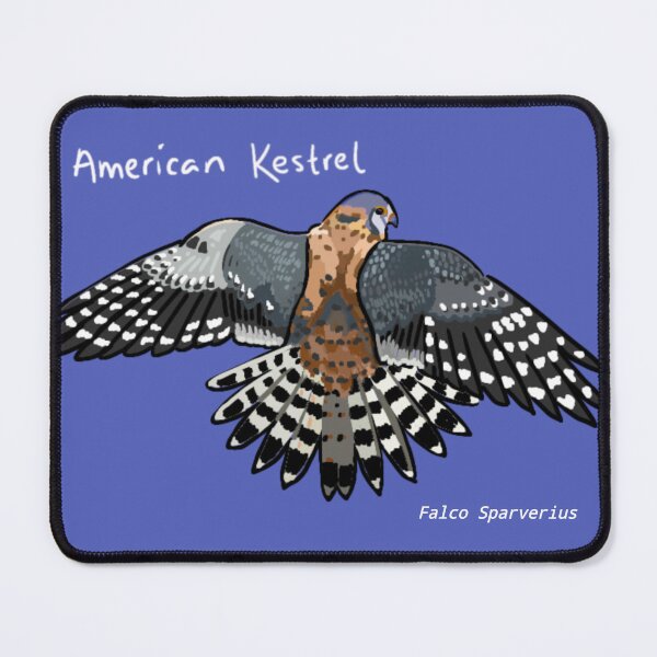 Item preview, American Kestrel designed and sold by M.Greenlund  Content.