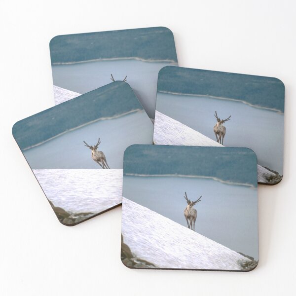 Item preview, Reindeer designed and sold by Sasas Photography.
