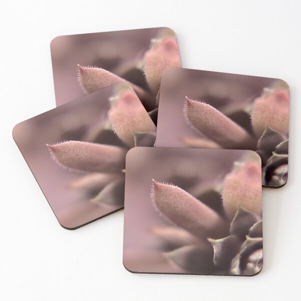 Item preview, Succulent designed and sold by Gritz - Photographer, AI Artist.