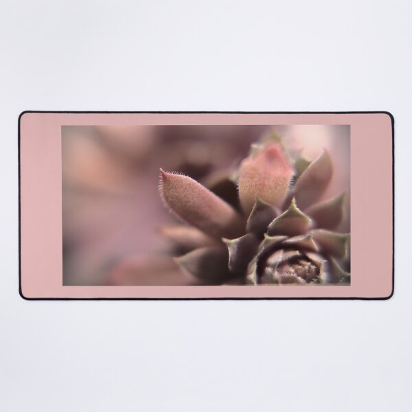 Item preview, Succulent designed and sold by Gritz - Photographer, AI Artist.