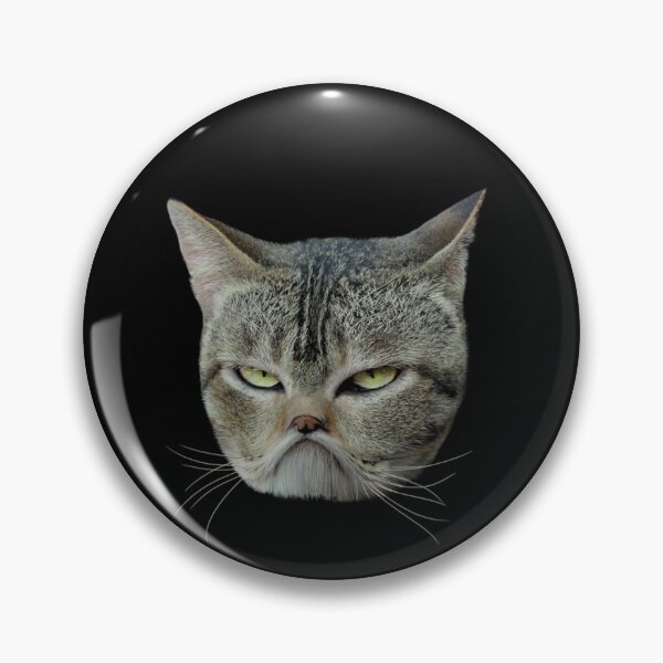 Item preview, angry cat >:( designed and sold by marttinimess.