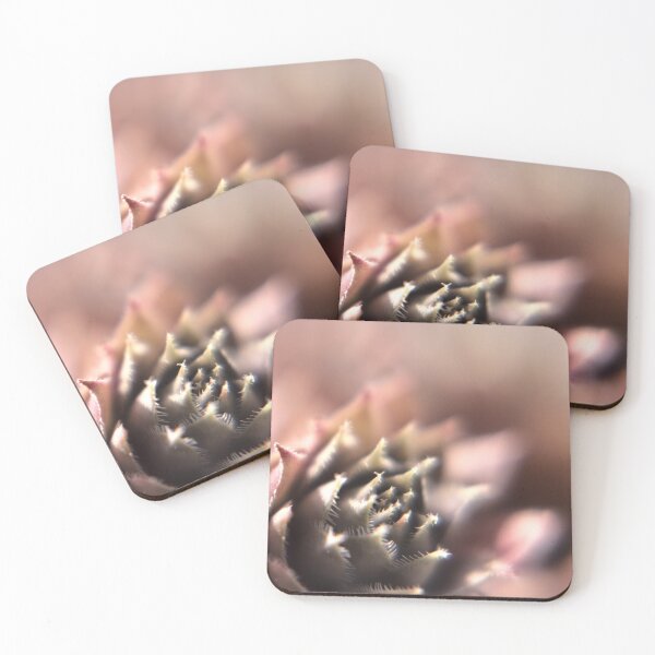 Item preview, Succulent from above designed and sold by Gritz - Photographer, AI Artist.